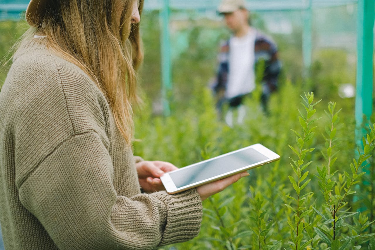 Side view of crop anonymous female gardener using digital device for taking picture of green plants in glasshouse